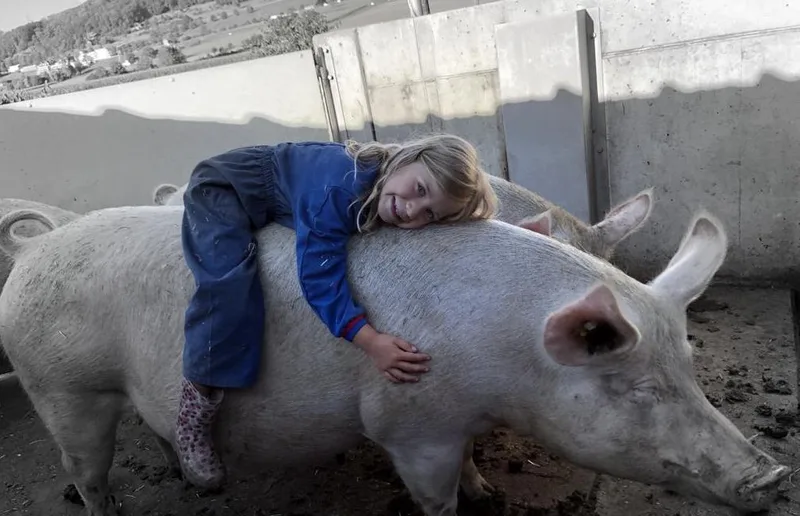 Das sind die Gewinnerfotos des Schnappschuss-Wettbewerbs 2022