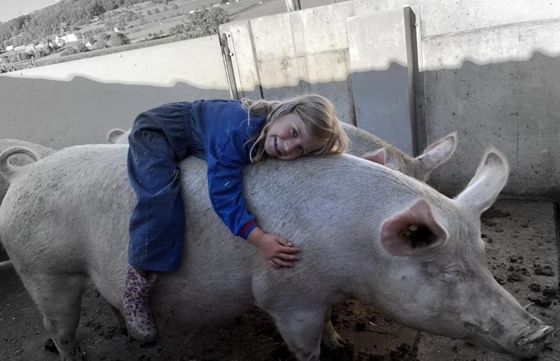 Das sind die Gewinnerfotos des Schnappschuss-Wettbewerbs 2022