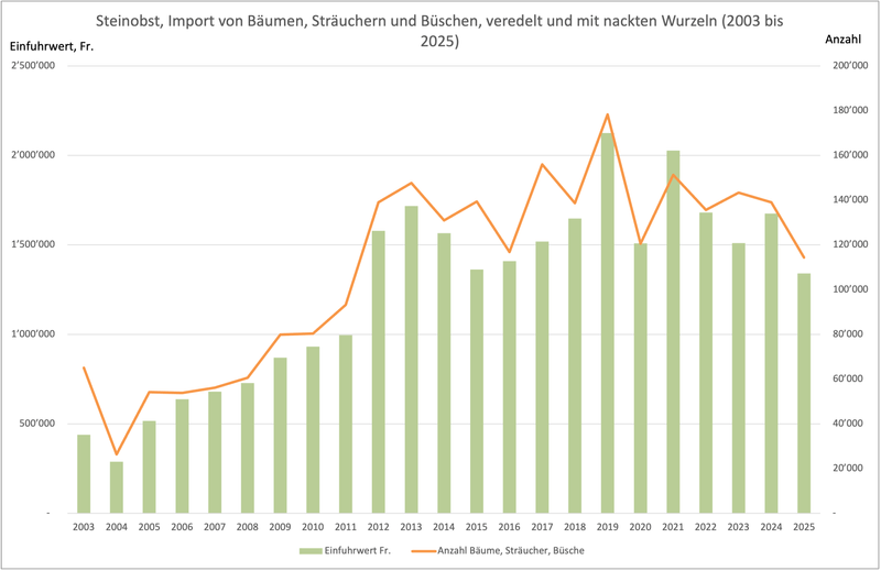 Schweizer Zwetschgenanbau: Warum neue Sorten kaum ankommen