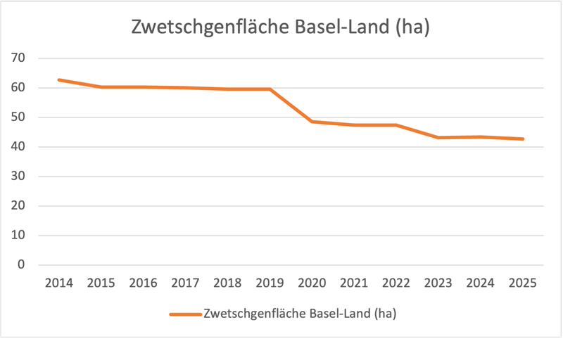 Schweizer Zwetschgenanbau: Warum neue Sorten kaum ankommen