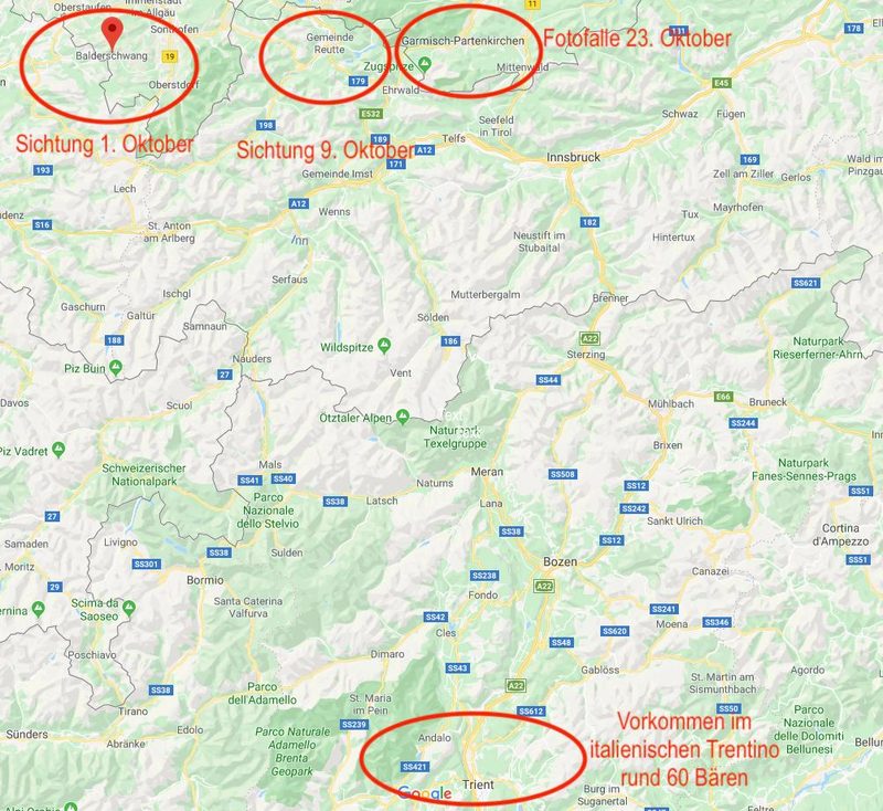 Wo ist eigentlich der Bär von Bayern gerade unterwegs?