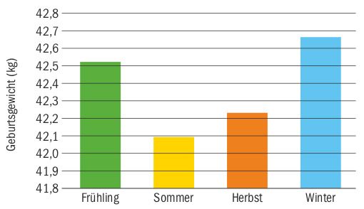 Kälber wurden lange grossgehungert