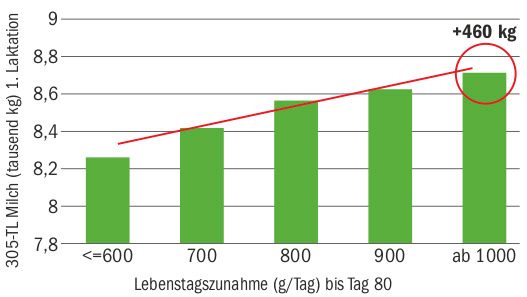 Kälber wurden lange grossgehungert