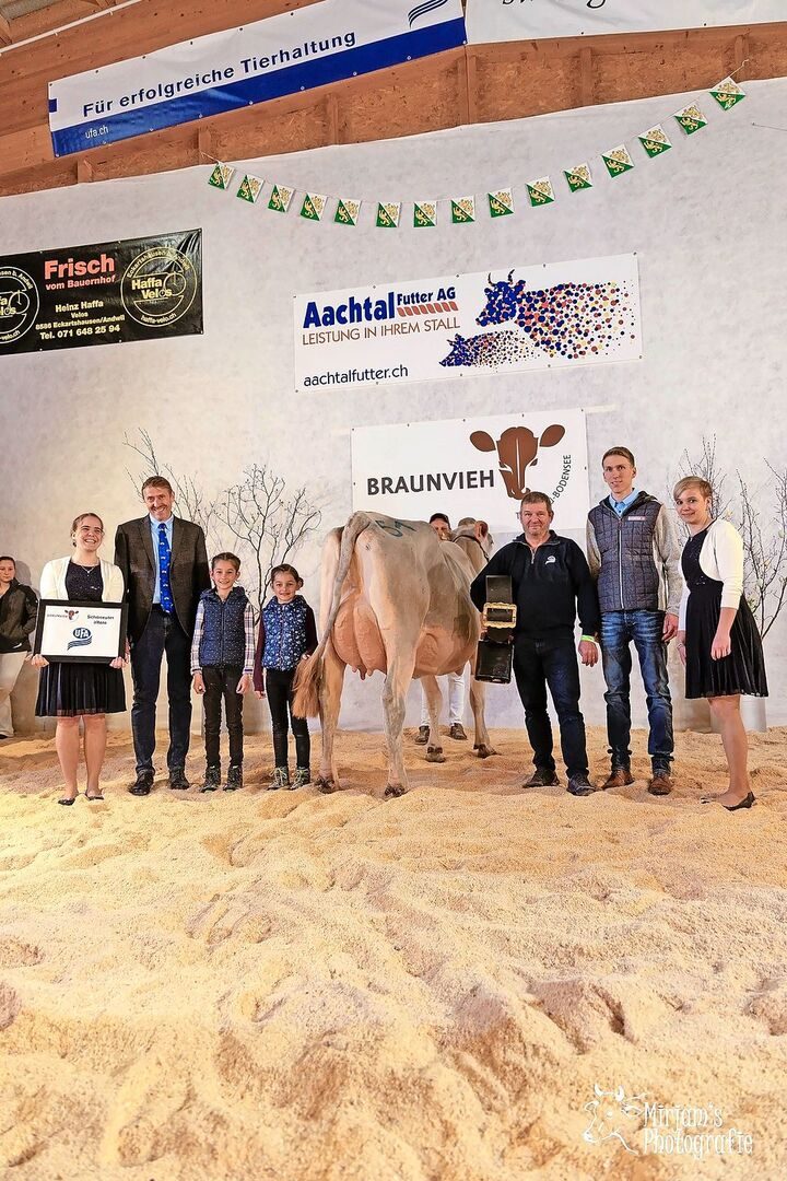 Das schönste Euter hatte Jill von Reto Müller aus Waldkirch (mit Glocke). Andreas Walser (zw.v.links), beurteilte die Kühe. Sein Sohn Maurus (zw.v. rechts) half ihm dabei.