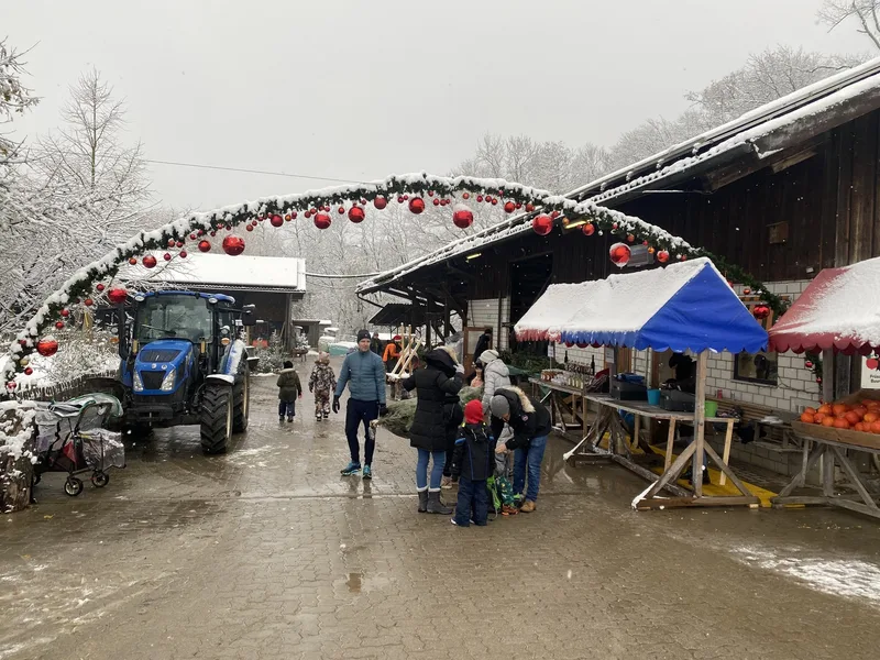 Der Mathis-Hof macht den Christbaumkauf zu einem ganz besonderem Wintererlebnis