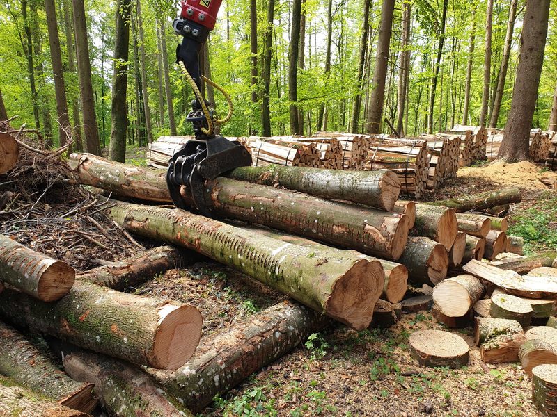 Mehrfachnutzung von Holz als langfristiger CO2-Speicher