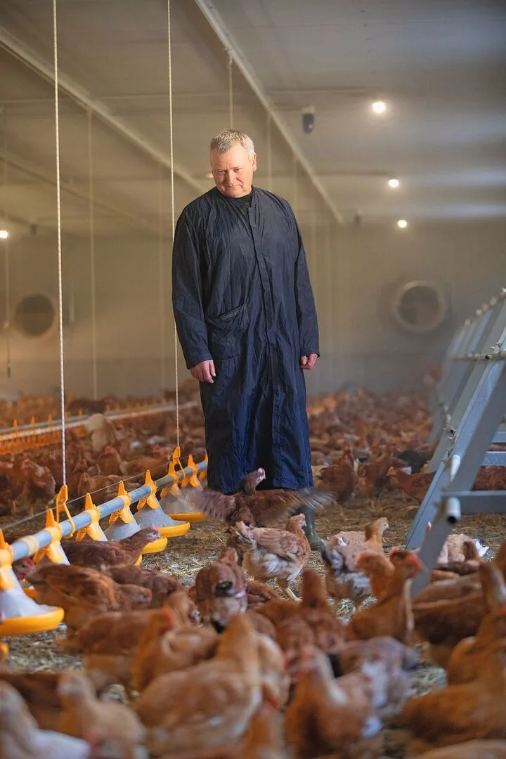 Ruedi Stucki kontrolliert mehrmals täglich, ob es dem Geflügel gut geht. Sind die Tiere alt genug, öffnet er jeweils morgens die Klappen nach draussen – und jagt abends die Hühner wieder hinein.