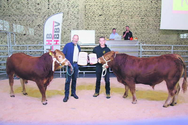 Erfolgreicher Stierenmarkt in Brunegg im Hybrid-Format