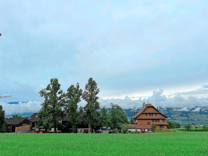 Hoch über dem Baldeggersee gelegen: der Hof von Rucklis mit den Betriebszweigen Schweinezucht und Ackerbau.
