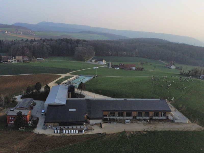 Sabrina Schlegel hat einen Vorzeigebetrieb und stellt sich für den Vorstand von Mittelland Milch zur Wahl