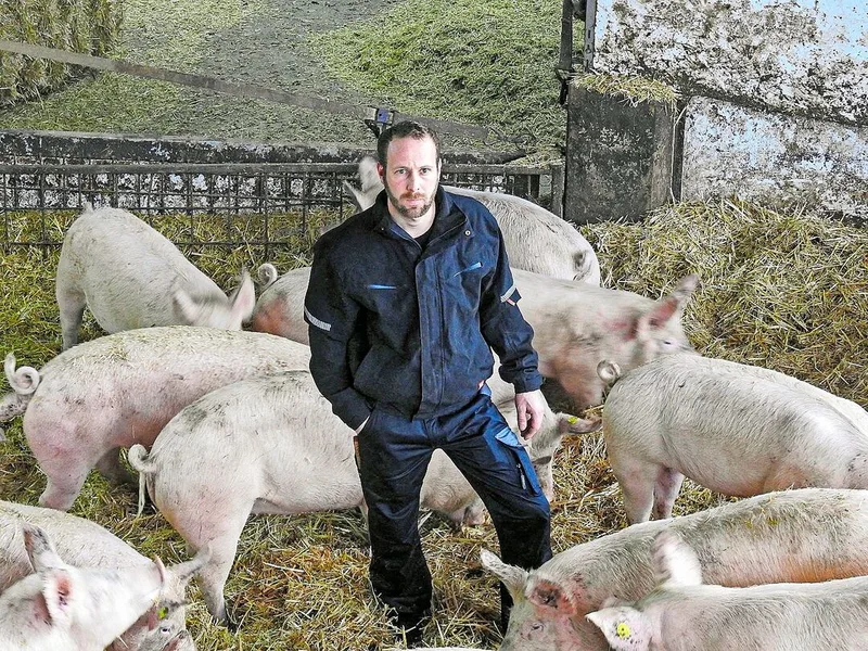 Landwirt Stefan Buri verfüttert schon seit vielen Jahren Lebensmittelnebenprodukte an seine Mastschweine.