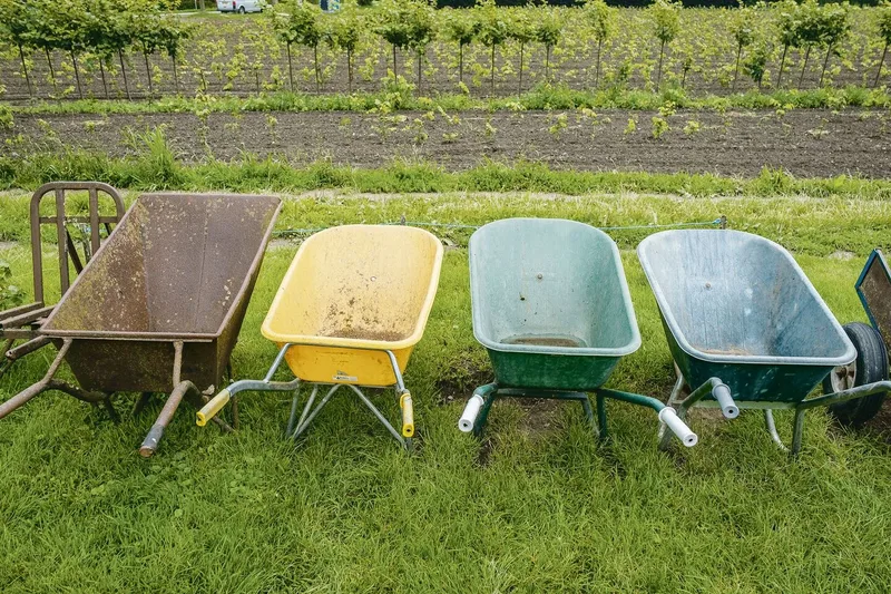 Miteinander aktiv sein: In den Niederlanden haben sich vor allem Tagesstrukturen in der Landwirtschaft für Menschen mit besonderen Bedürfnissen etabliert. Die Anbieter verfügen über ein eigenes Qualitätssiegel und eine Weiterbildungs-Akademie.