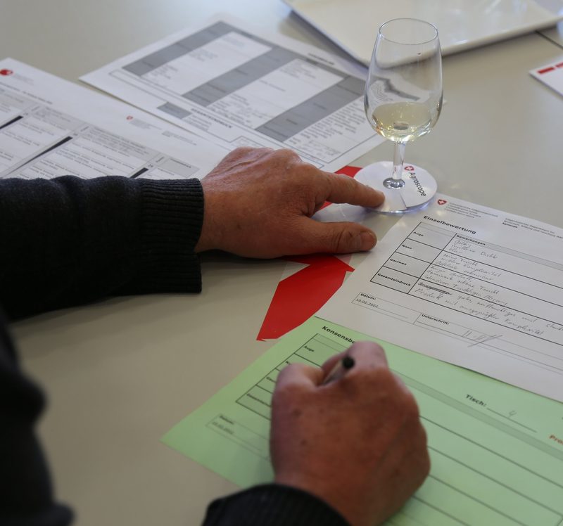 Süss, fruchtig oder würzig: An der nationalen Fruchtsaftprämierung wurden rund 80 Fruchtsäfte verkostet