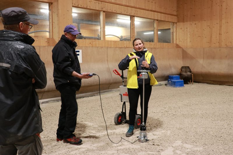 Gegen den giftigen Scharfen Hahnenfuss auf der Weide hilft ein Reinigungsschnitt