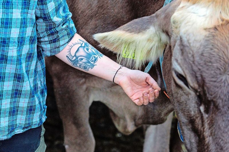 Wenn die Liebe unter die Haut geht. Ihr Tattoo hat Spirig selbst entworfen.