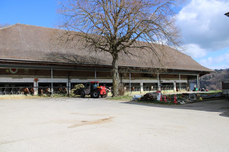 Agronomin mit Bestnote leitet Kantonsbetrieb im Waadtland