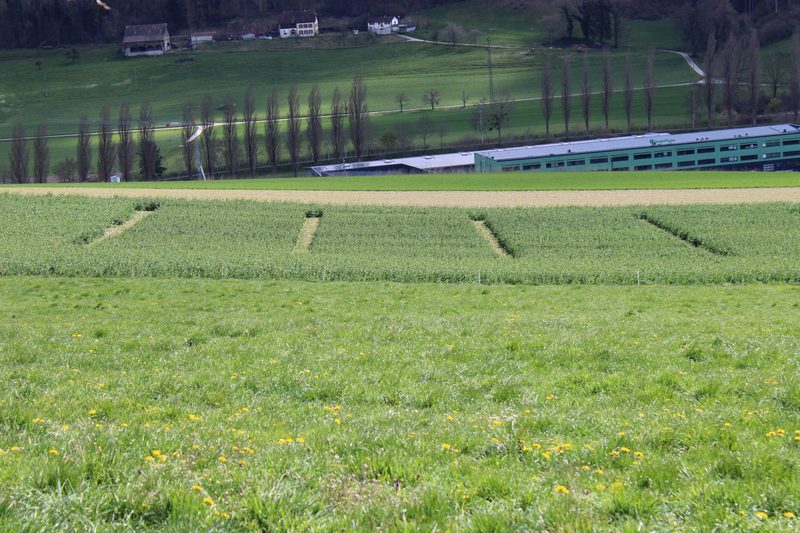 Agronomin mit Bestnote leitet Kantonsbetrieb im Waadtland