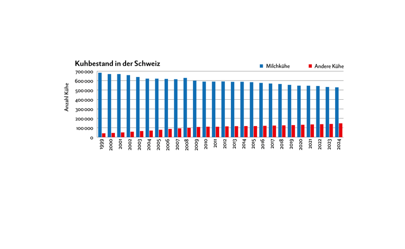Die Anzahl der Milchkühe sinkt und sinkt. Was hingegen stetig zunimmt, ist die Anzahl der Mutterkühe und damit das Total an Rindvieh.