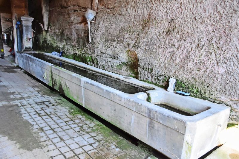 Fast sieben Meter ist der Hofbrunnen lang.