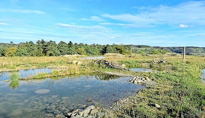Deponie Leigrueb in Lufingen, eine ehemalige Deponie für Abfälle vom Typ E. Auf einem Teil der Fläche wurden verschiedene Naturschutzelemente angelegt.
