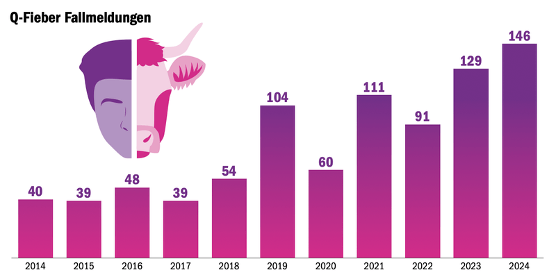 Q-Fieber: Wachsamkeit und schnelles Handeln sind wichtig