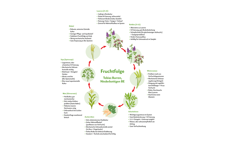 Biobetrieb Tobias Burren: Fruchtfolge und moderne Techniken für nachhaltigen Ackerbau