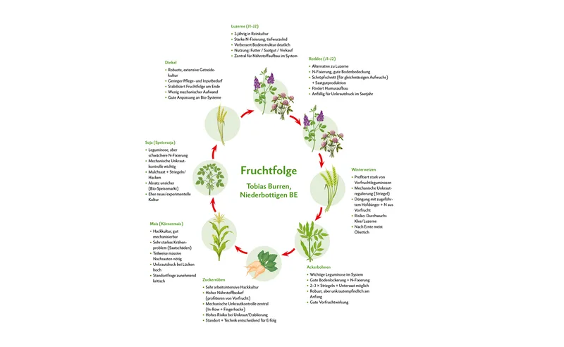 Biobetrieb Tobias Burren: Fruchtfolge und moderne Techniken für nachhaltigen Ackerbau