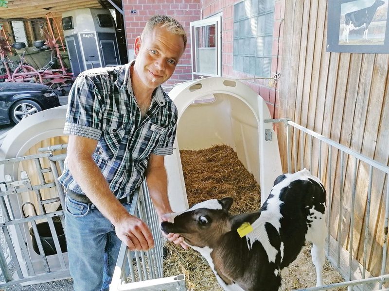 Werner Dennlers Aufzuchtkälber werden auf dem Betrieb von den Eltern betreut, sobald sie keine Milch mehr brauchen.