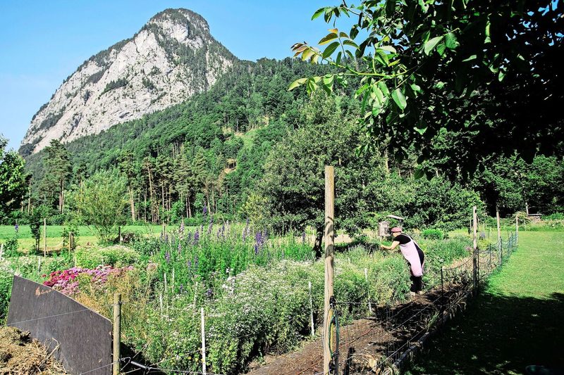 In Wimmis im Berner Oberland hat Carmen von Ballmoos auf einer Wiese ein Blumenfeld angelegt.