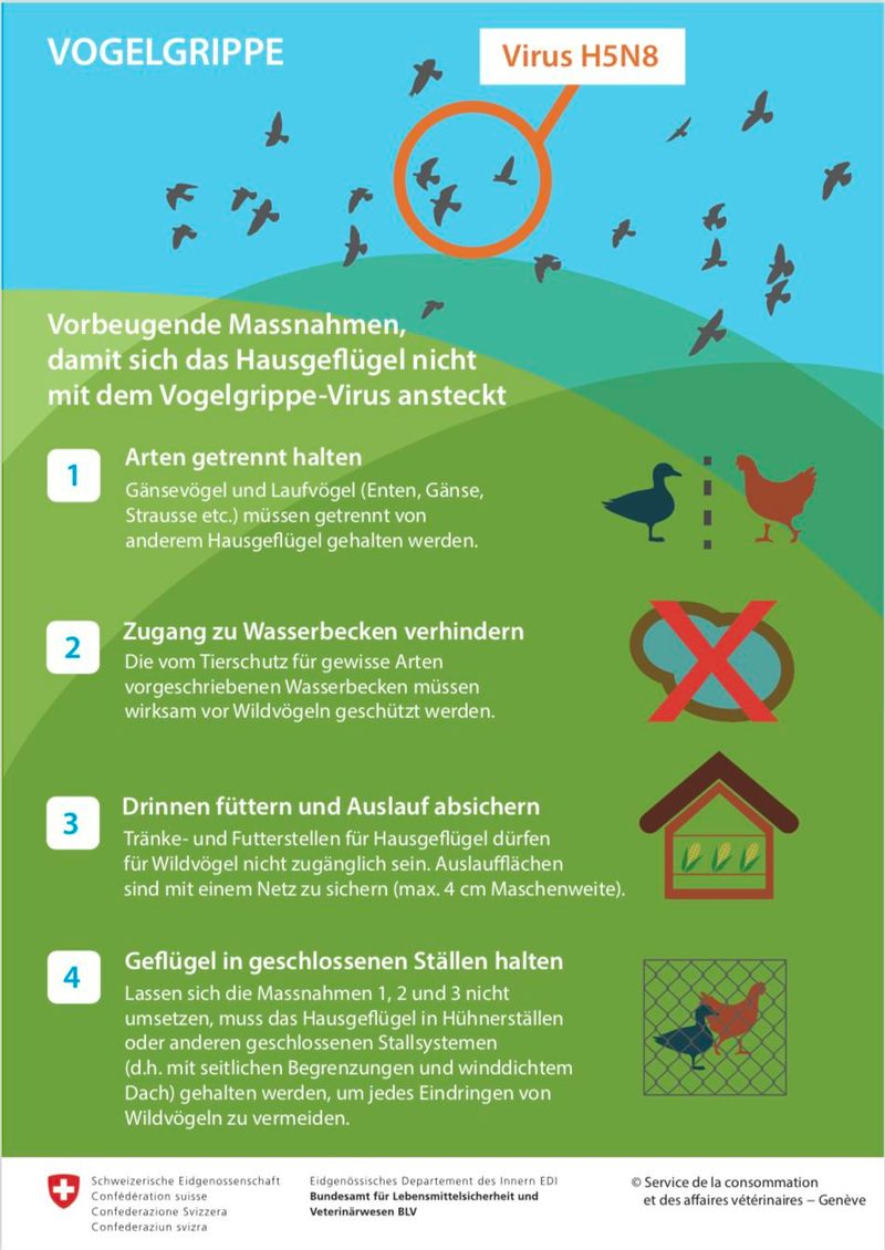Neuer Vogelgrippe-Fall nahe der Schweizer Grenze – weitere Massnahmen angeordnet