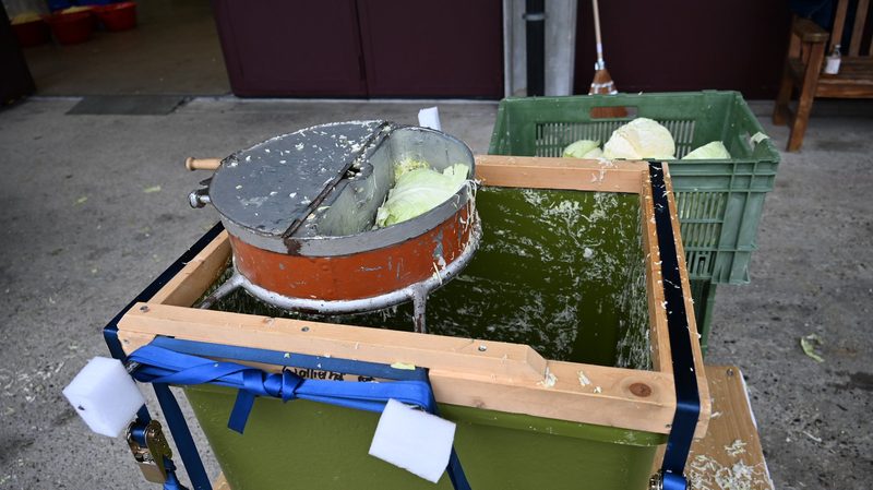 Am Wallierhof wird fleissig Chabis gehobelt