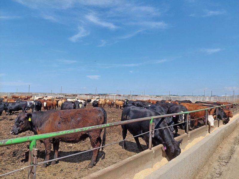 Landwirtschaft in Kanada – einige Eindrücke