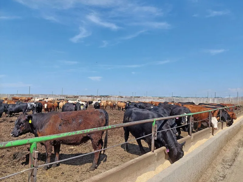 Landwirtschaft in Kanada – einige Eindrücke