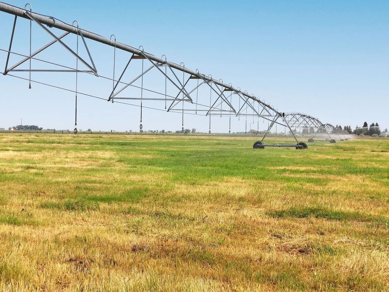 Landwirtschaft in Kanada – einige Eindrücke
