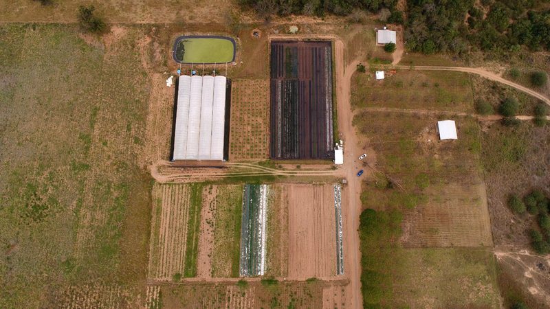 Mit Hydroponie der Trockenheit in Paraguay trotzen
