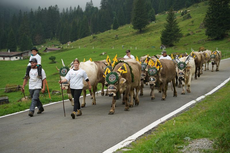 Wieder auf dem Urnerboden