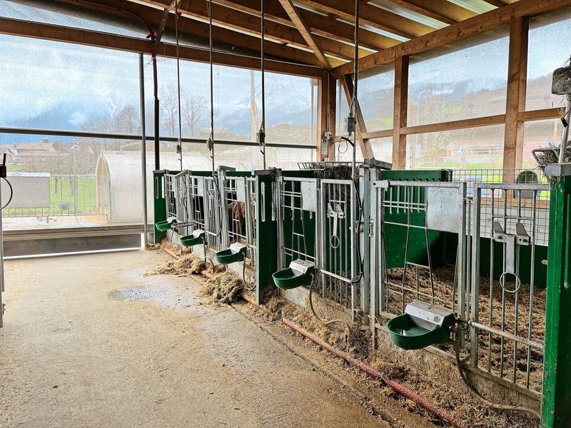 Für das Kälbertränken, das Befüllen der Futterküche, den Kontrollrundgang, die Boxen und das Waschen der Roboter braucht es immer noch Fachkräfte, doch die Roboter reduzieren die tägliche Stallzeit massiv, sagt der Betriebsleiter.