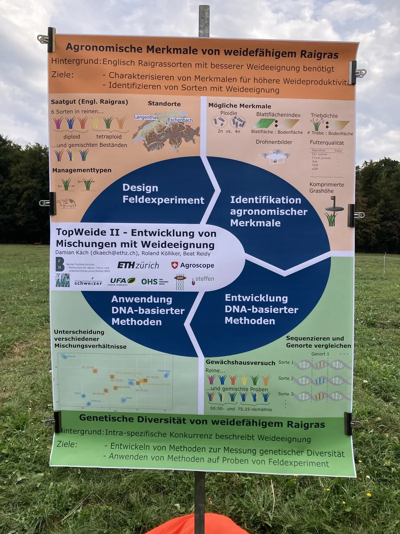 Die Suche nach der resilienten Weide der Zukunft