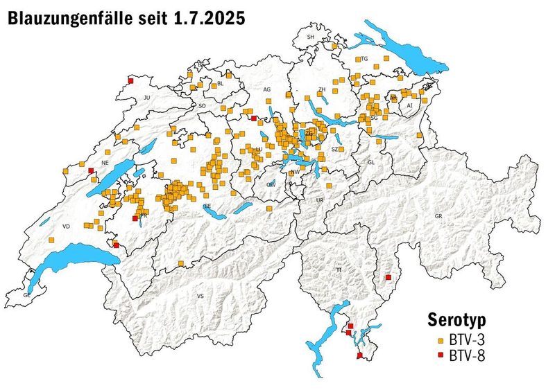 Die aktuelle Karte des BLV zeigt, die Blauzunge hat das Mittelland erreicht. Derzeit tritt in erster Linie der Serotyp 3 auf.
