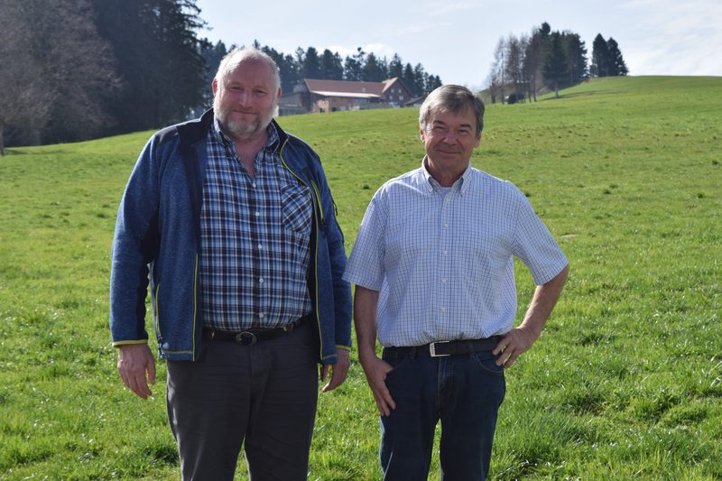 Saubere Ställe mit Reinigungsmittel auf Molkebasis