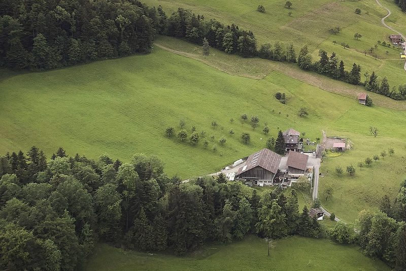 Frauen in der Landwirtschaft sollten sich mehr zutrauen, so Betriebsleiterin Silvia Ulrich