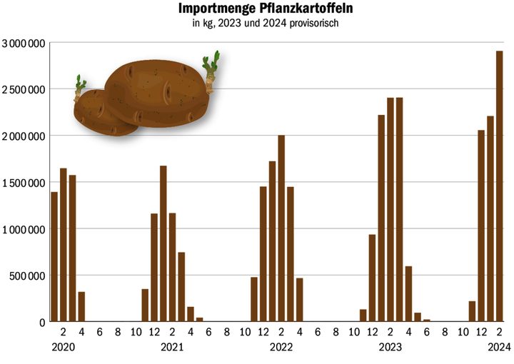 Der Schweizer Kartoffelanbau ist in Sachen Pflanzgut immer stärker vom Ausland abhängig. Eine Situation, die nun heuer ihren Tribut fordert.