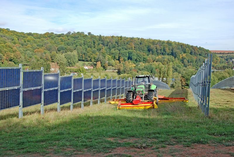 Agrophotovoltaik: Lebensmittel und Solarstrom vom gleichen Ort