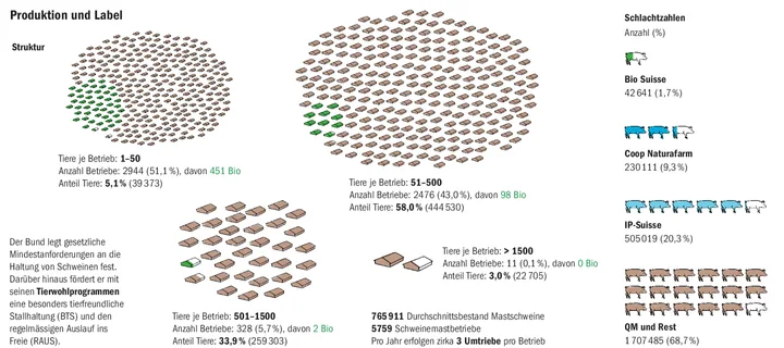 Die Betriebe mit Schweinehaltung werden immer grösser. Nach wie vor werden mehr Label-Schweine produziert, als sich verkaufen lassen.