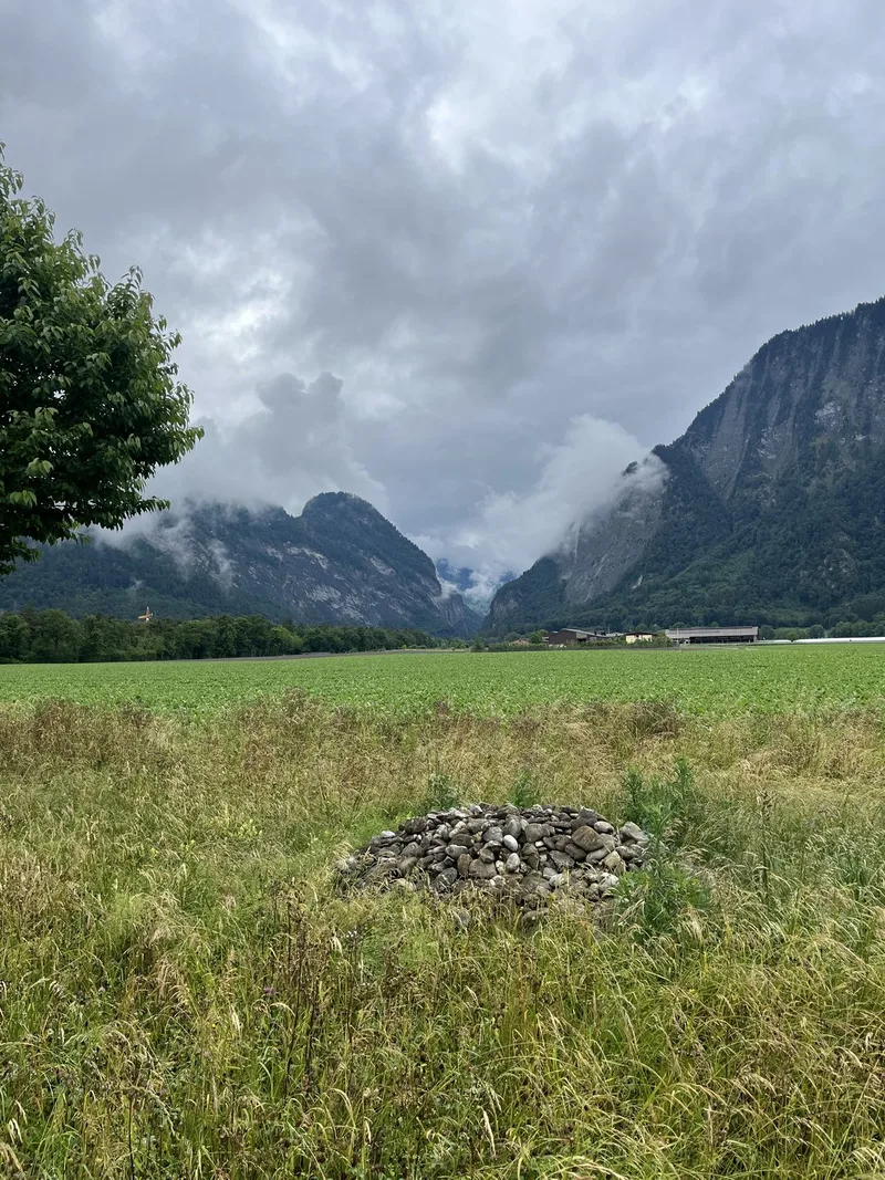 So zahlt sich Artenvielfalt in der Landwirtschaft aus