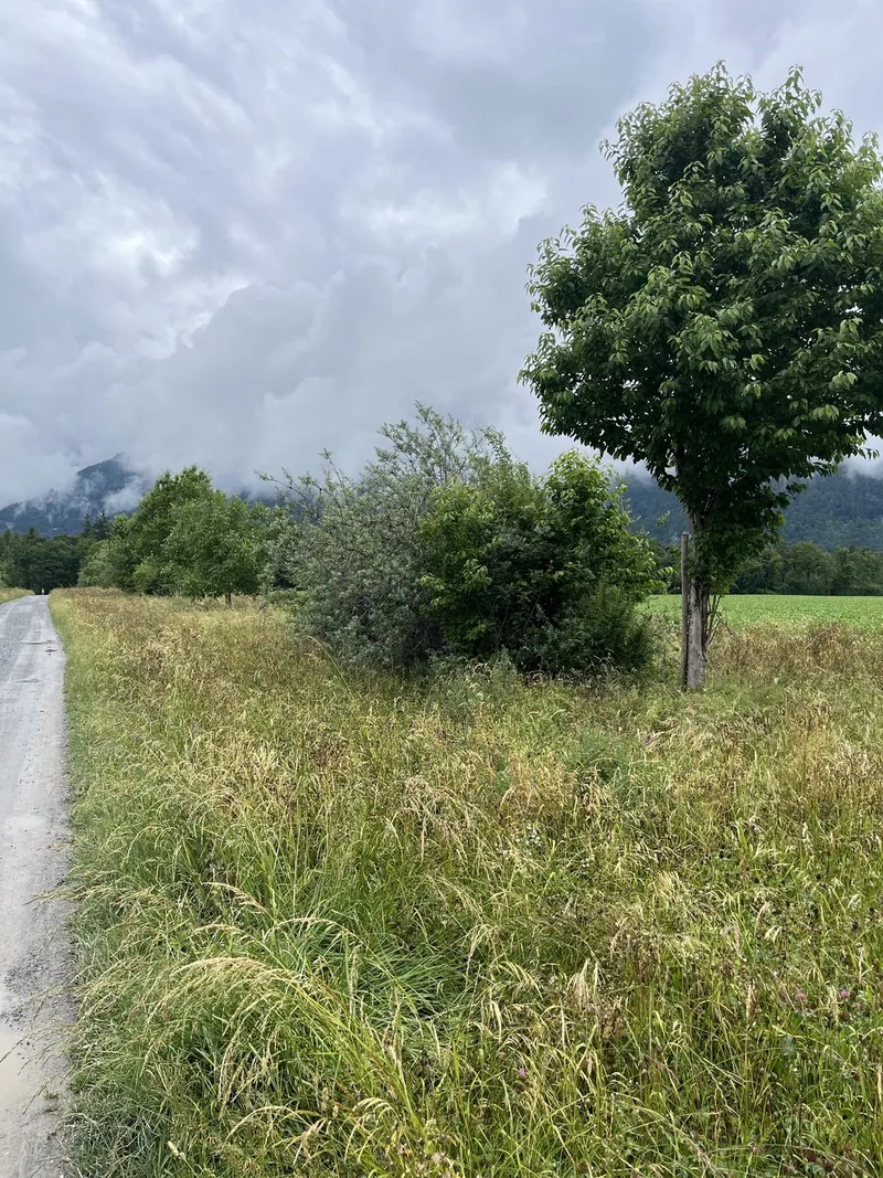 So zahlt sich Artenvielfalt in der Landwirtschaft aus