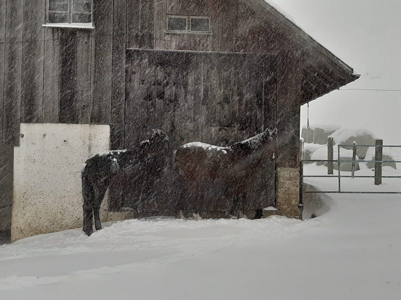 Wenn es draussen stürmt und die Erde bebt, wird ein Schneemann geboren