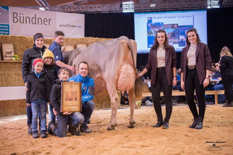 Walser's Phil Rubina gewinnt den 22. Bündner Braunvieh-Tag