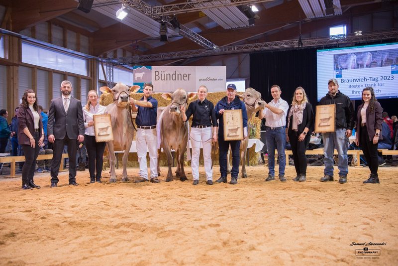 Walser's Phil Rubina gewinnt den 22. Bündner Braunvieh-Tag