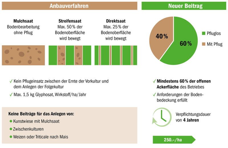 Verschärfung beim pfluglosen Anbau – eine Übersicht